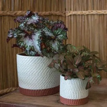 Como Pot (Small)