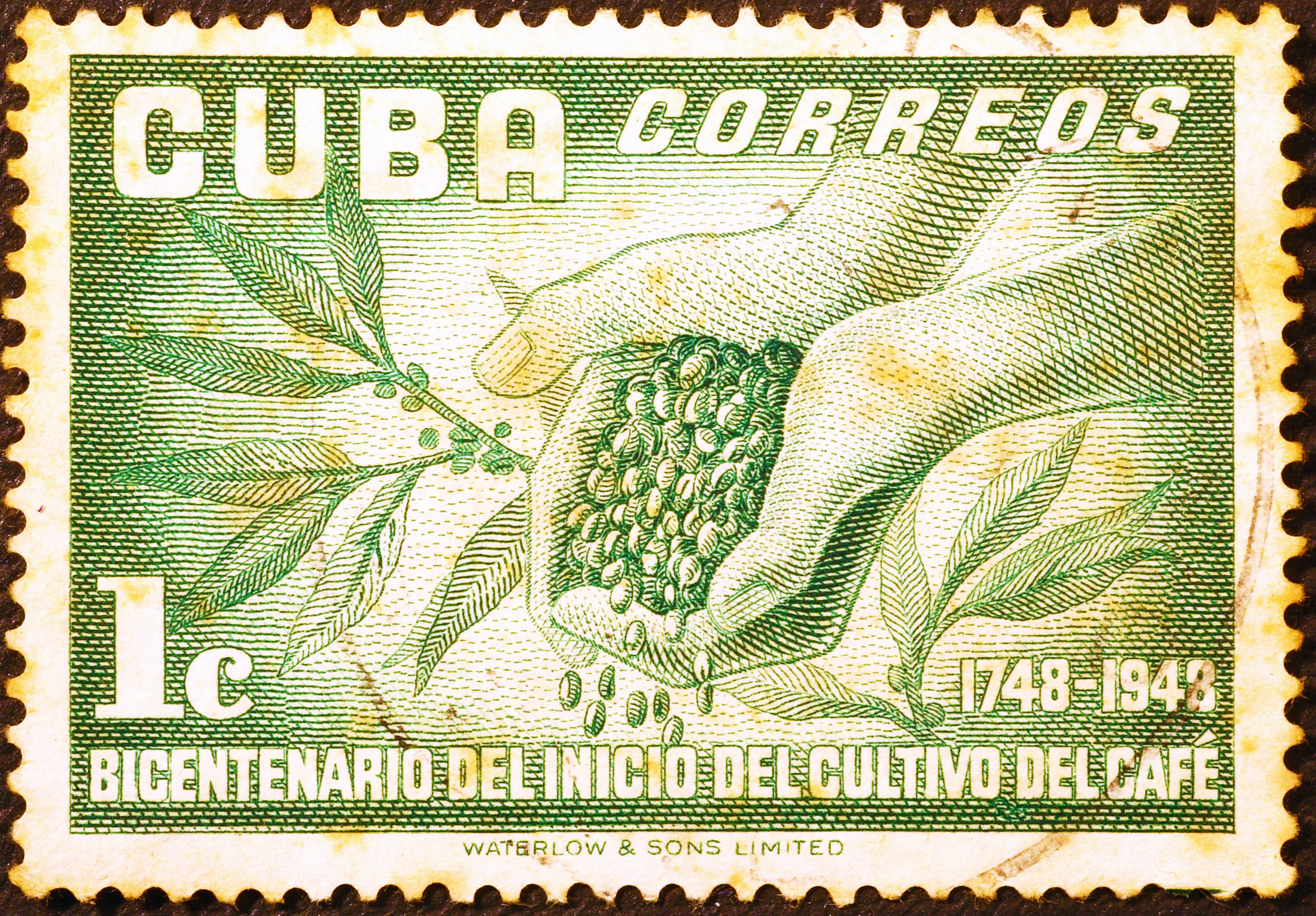 Cuban Stamp Custom Art