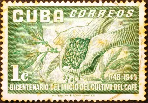 Cuban Stamp Custom Art
