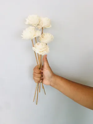 Dahlia Sola Flower | 5pcs