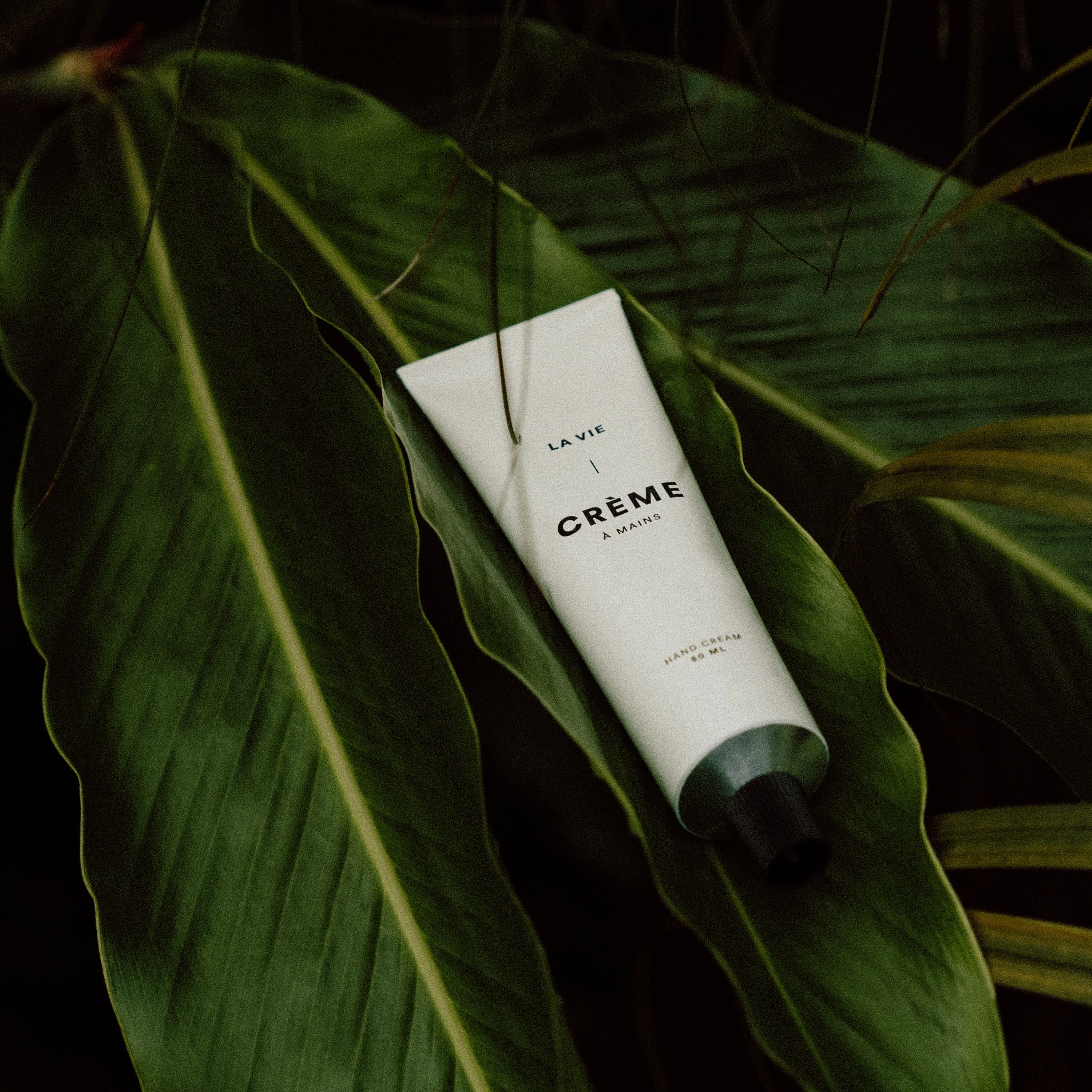 Hand Cream  Bergamot Clementine