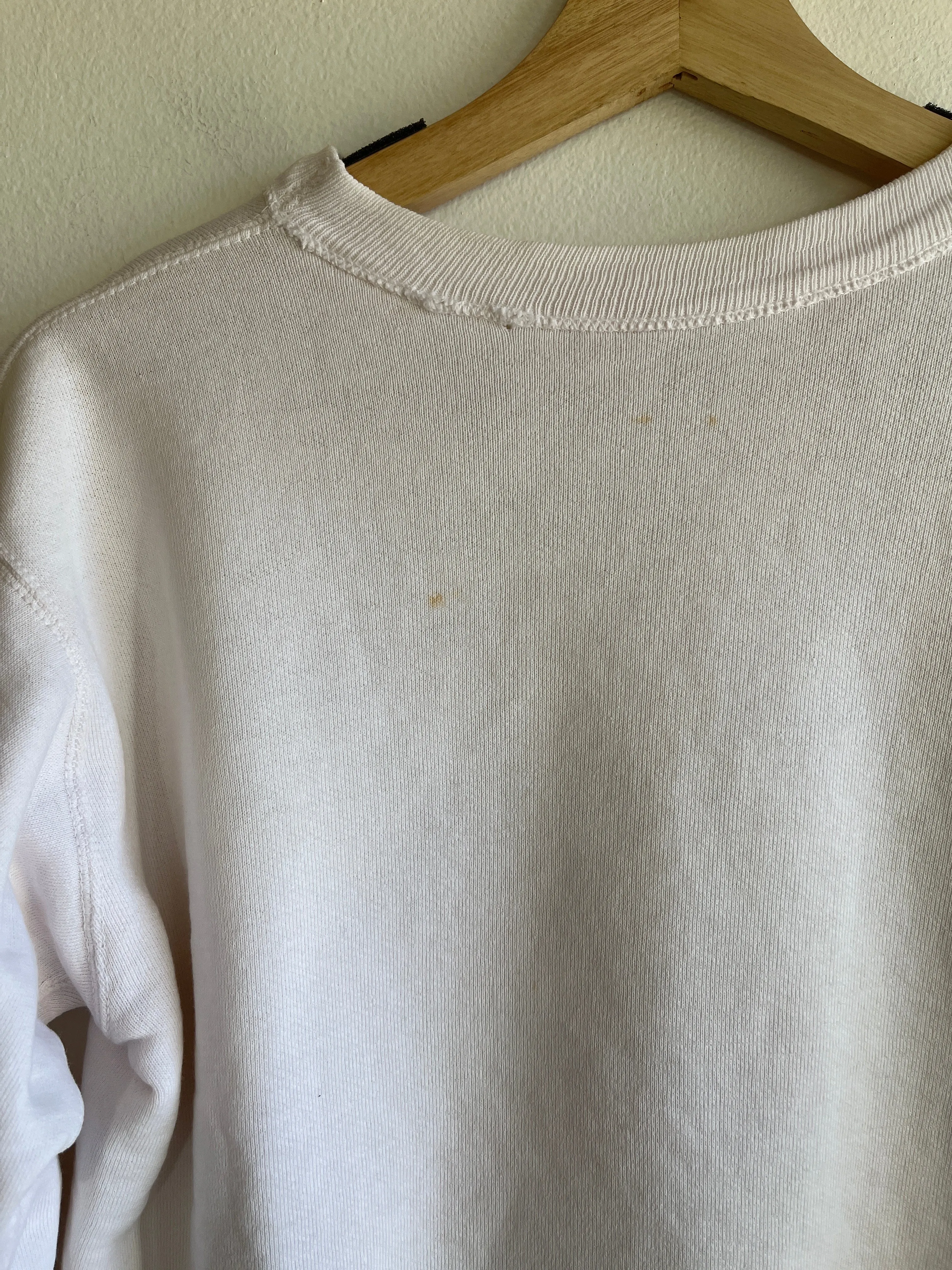 Vintage 1950s Champion Running Man Nu Sigma Chi Sweatshirt